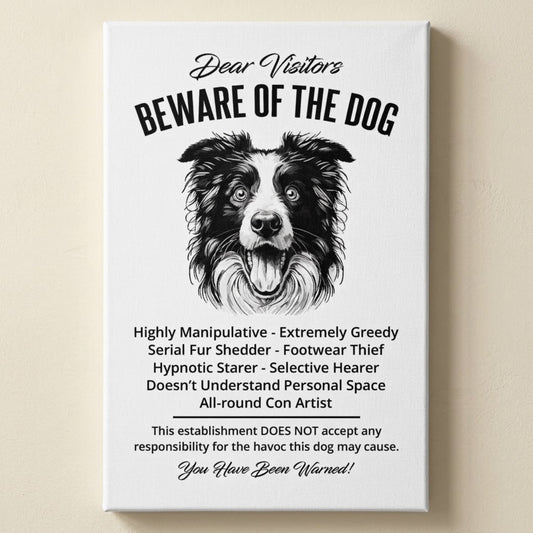 A rectangular white canvas sign with black printed funny text warning visitors about a border collie dog, featuring a black-and-white illustration and humorous behavioral descriptions. The canvas print is photographed against a light beige wall.